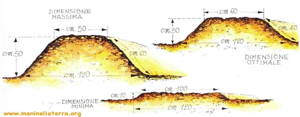 Le aiuole di un orto sinergico DIMENSIONI