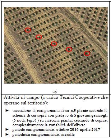 I dati ottenuti in Provincia di