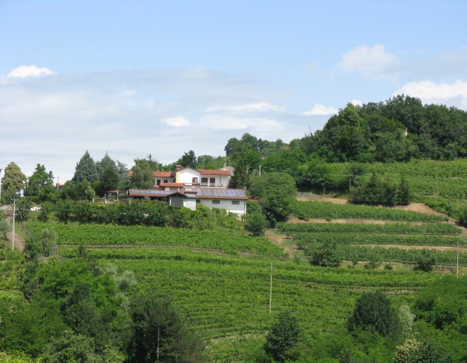 Caso di studio: Azienda Agricola Muzic Azienda vitivinicola a conduzione famigliare Località di San Floriano del Collio (GO) 21