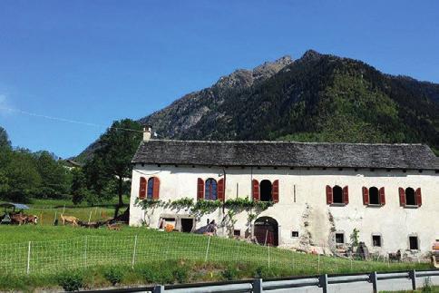 tradizionale. Visita guidata per scoprire il processo della cagliata del Bettelmatt.