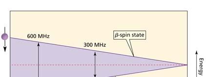 M + 2 è 1/3 dell altezza di M; Br se M + 2 ha la stessa altezza di M Spettroscopia di risonanza magnetica nucleare