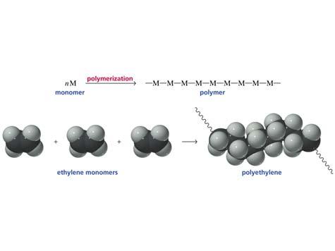 polimero è una macromolecola ottenuta legando tra loro come
