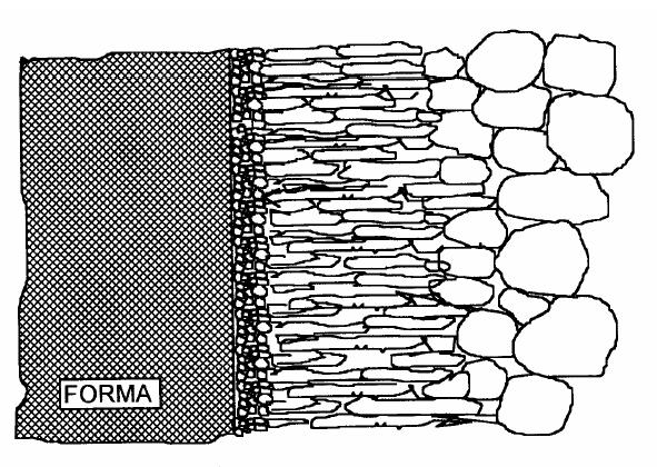 MICROSTRUTTURA DEI GETTI Di norma questa seconda fase di crescita unidirezionale è seguita