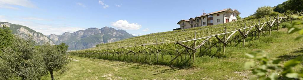 agriturismo Nella tradizione trentina il Maso è l abitazione della famiglia contadina.