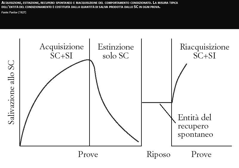 11 Recupero spontaneo = parziale recupero dell'apprendimento dopo un periodo di estinzione Riacquisizione = viene presentato nuovamente un rinforzo costituito dalla coppia SC + SI rapido