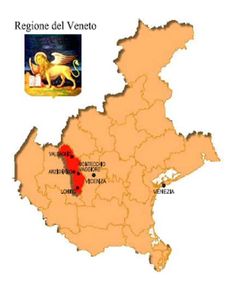 Il contesto L Azienda Ulss n. 5 opera su un territorio inserito nella provincia di Vicenza, con una popolazione complessiva di 180.