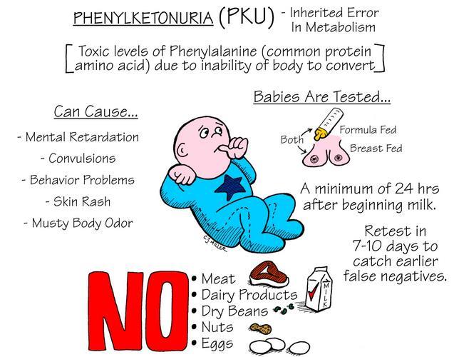 Il RM della PKU si PREVIENE con una DIETA priva di fenilalanina (esempio