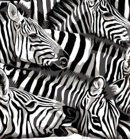 In sostanza la zebra si stressa se c è il leone che la insegue, se non ha cibo, se non trova l