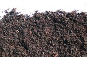 È composto da una sapiente selezione di torbe di sfagno (bionde e brune), senza l utilizzo di compost o altri sottoprodotti. È di colore abbastanza scuro, soffice ed odora di sottobosco.