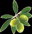 2.2.4 Modalità di conservazione I prodotti alimentari e tra essi, ovviamente, gli oli da olive, devono mantenere inalterate le loro proprietà fino allo scadere del termine minimo di conservazione.