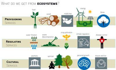 CONTENUTI DELLA PRESENTAZIONE 1. Analisi finanziaria 2. Valutazione dei servizi ecosistemici 3.