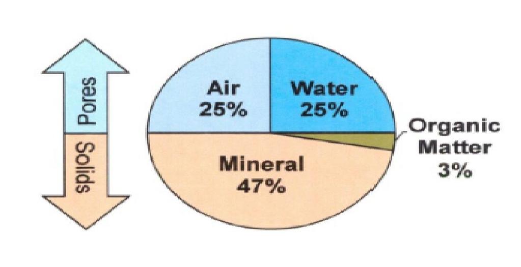 Ruolo dei pori nel suolo in altri fondamentali servizi ecosistemici: regolazione del ciclo dell acqua