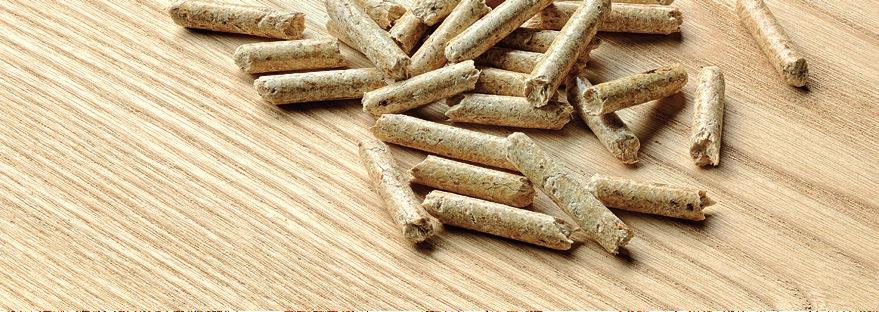 I nostri Pellets BIO HOLZ PELLETS I pellets Bio Holz sono ottenuti al 100% da legno di conifera e sviluppano un potere calorifico 4,9 KWh/Kg.