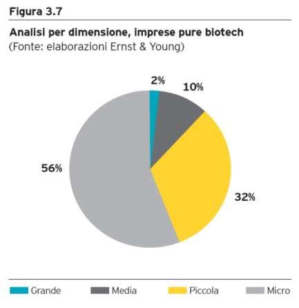 Le imprese di piccole dimensioni rappresentano la maggioranza nel biotech Suddivisione imprese pure biotech per dimensione - Anno 2011 -