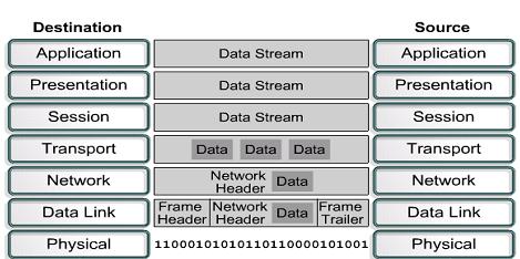 MODELLO ISO-OSI Conversione info in dati. Suddivisione in segmenti tramite i protocolli TCP e UDP.