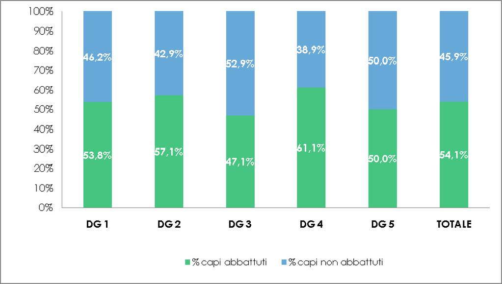 Grafico 3: Percentuale di realizzazione del Piano di