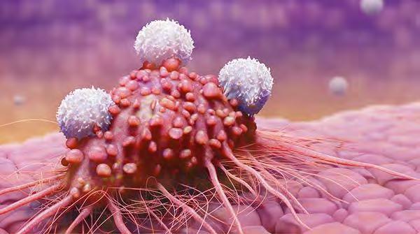 Vaccini anti cancro personalizzati, veloci ed efficaci Una nuova strategia permette di identificare velocemente le specifiche mutazioni genetiche che caratterizzano le cellule di un tumore, verso cui