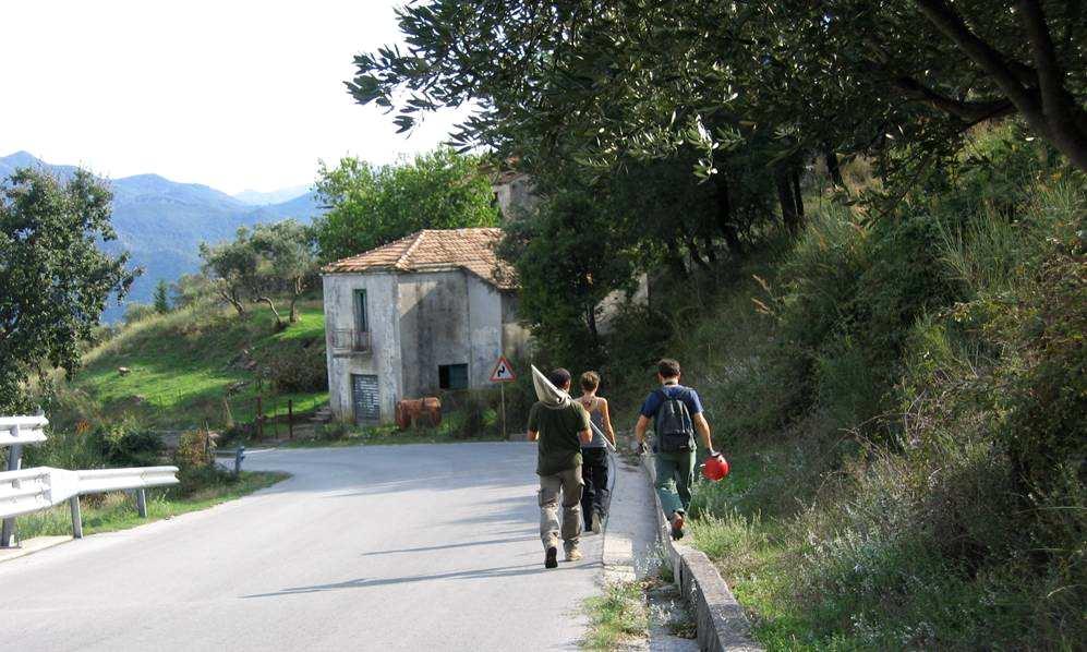 1 MATERIALI E METODI La ricerca chirotterofaunistica in Italia è piuttosto recente in quanto i primi studi di settore risalgono all inizio degli anni 90 e s intensificano leggermente dagli anni 2000.