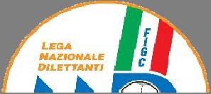 Federazione Italiana Gioco Calcio Lega Nazionale Dilettanti Settore Giovanile e Scolastico DELEGAZIONE PROVINCIALE DI RIMINI VIA