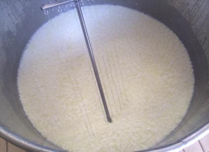 (iodio, selenio e zinco) Immagini relative al processo di produzione del caciocavallo ottenuto da latte