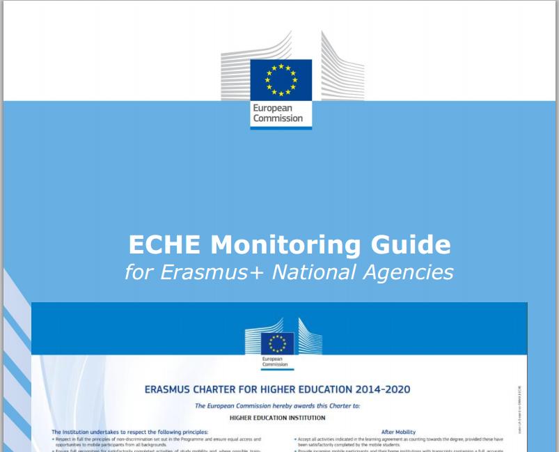 4. I principi ECHE e il monitoraggio Si tratta diun problema generale, non solo italiano.