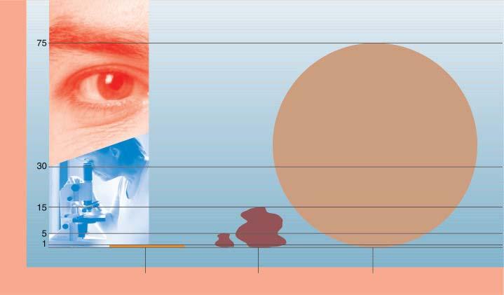 Il grafico da un idea della dimensione delle particelle che sono così dannose per le