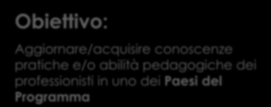 istituti di formazione professionale all estero, ma anche dallo staff delle imprese presso altre