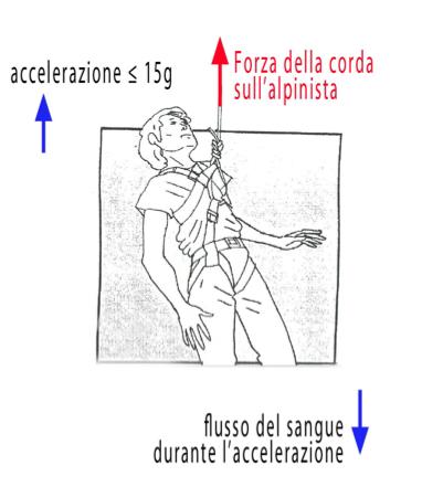 Da studi fatti sul paracadutismo...la massima accelerazione sopportabile dal corpo umano in posizione eretta è 15 volte l'accelerazione di gravità, cioè 15g con g=9.