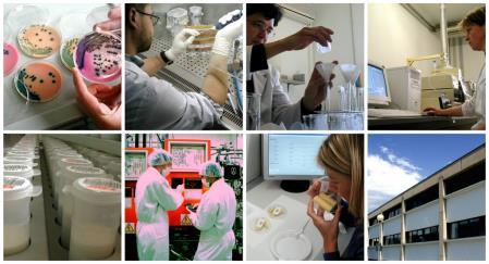 Istituto per la Qualità e le Tecnologie Agroalimentari 5 laboratori accreditati : Latte Chimica Microbiologia Biotecnologie Analisi Sensoriale Un