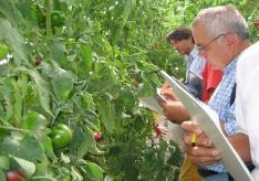 PER L INNOVAZIONE VENETO AGRICOLTURA: L EXTENSION SERVICE DEL VENETO CENTRI E AZIENDE Quattro Aziende agricole pilota e dimostrative Sei Centri sperimentali