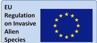 Regolamento EU 1143/2014 Basato sui principi di prevenzione, prioritizzazione e coordinamento Cuore del sistema è la lista di specie invasive di rilevanza unionale