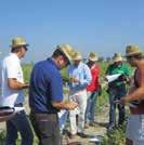 Attività di ricerca e sviluppo sull anguria in Italia Syngenta da tempo rivolge particolare attenzione all anguria, dedicando risorse mirate all attività di Ricerca & Sviluppo per questa specie.