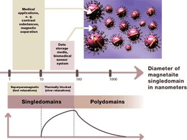 Nanoparticelle superparamagnetiche In un materiale superparamagnetico vi sono particelle di dimensioni sufficientemente piccole da contenere un solo dominio magnetico: si allineano rispetto ad un