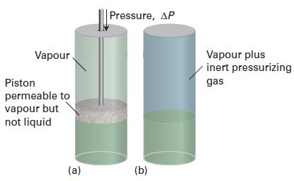 Aspetti termodinamici Aspetti termodinamici Variazione della pressione di vapore con la pressione esterna equazione di Gibbs Se sul liquido e sul vapore in equilibrio agiscono pressioni differenti p