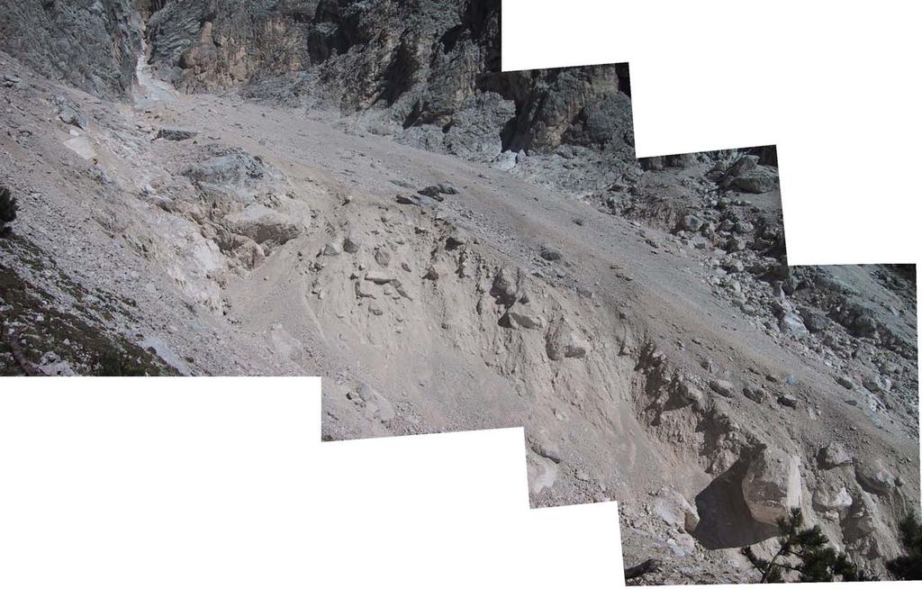 Aree sorgenti di sedimento falde detritiche Torrente Rudan (Dolomiti) Le incisioni torrentizie sulle falde detritiche, benché spesso