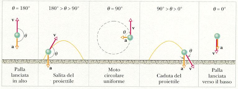 Vettore accelearzione nel moto circolare uniforme L accelerazione centripeta è determinata