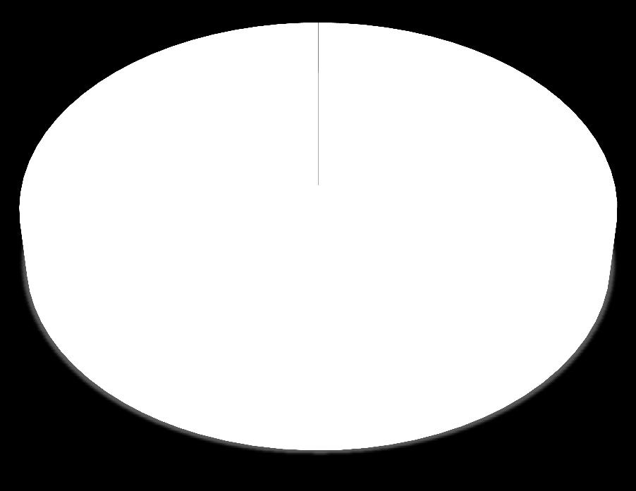 Oriente Asia Centrale 5,3% Asia Orientale 4,3% 7,0% 8,8% Australia & Oceania * L aggregato dei Trasformatori elettrici rappresenta il