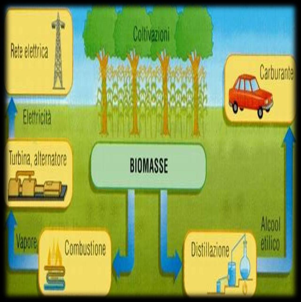 Le Biomasse Insieme di sostanze di origine biologica in forma non fossile.