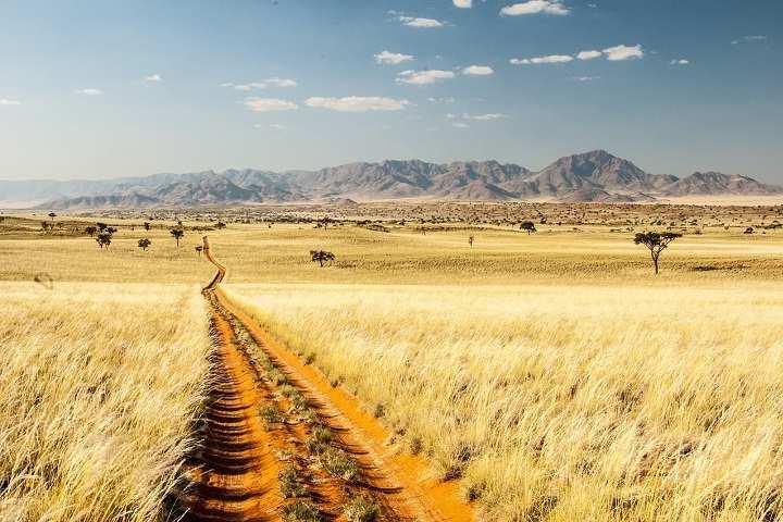 gruppo etnico di circa 12.000 persone che abita nel Kaokoland (regione del Kunene), nella Namibia settentrionale.