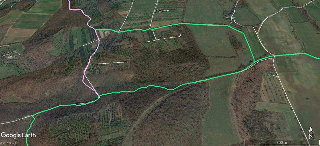 a 100m abbiamo un bivio: la strada di destra ci porta (800m) anch essa sulla Via Francigena, ma un poco più a Nord, deviazione che risulta comoda in caso di maltempo attraversando una bella campagna