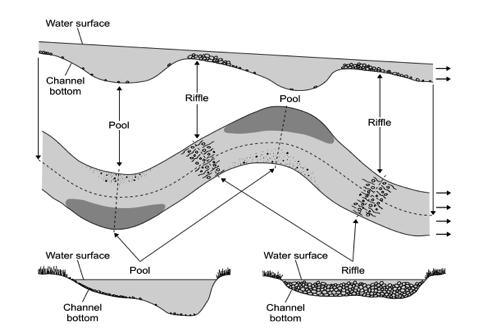 11 Figura 3.1: Vari meso- habitat presenti in un breve tratto fluviale. 4. L Indice Biotico Es