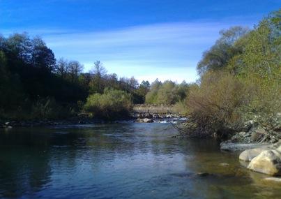 idrografica: il torrente Puriac, il rio Freddo, il Corborant, il rio