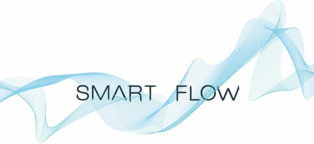 MISSION 2 Smart Flow si occupa di CONSULENZA DIREZIONALE ed ORGANIZZATIVA ed è costituita da un gruppo di Consulenti e Professionisti provenienti da diverse esperienze imprenditoriali e manageriali.