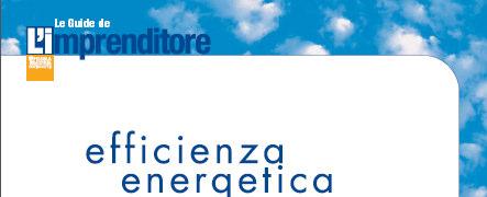 rendere le analisi funzionali alla predisposizione da parte del MSE del Piano Straordinario per l