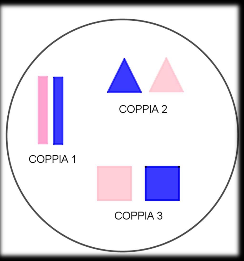 Nucleo della cellula