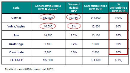 Epidemiologia Fino all 80% delle donne acquisisce un infezione da HPV nel corso della propria vita Adattato da D. M. Parkin, F. Bray, Vaccine 24 Suppl 3, S11 (2006).