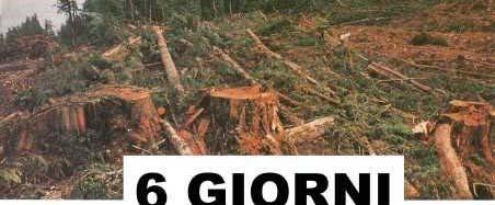 DEFORESTAZIONE INDISCRIMINATA E RISCHIA DI FAVORIRE LO SPOSTAMENTO