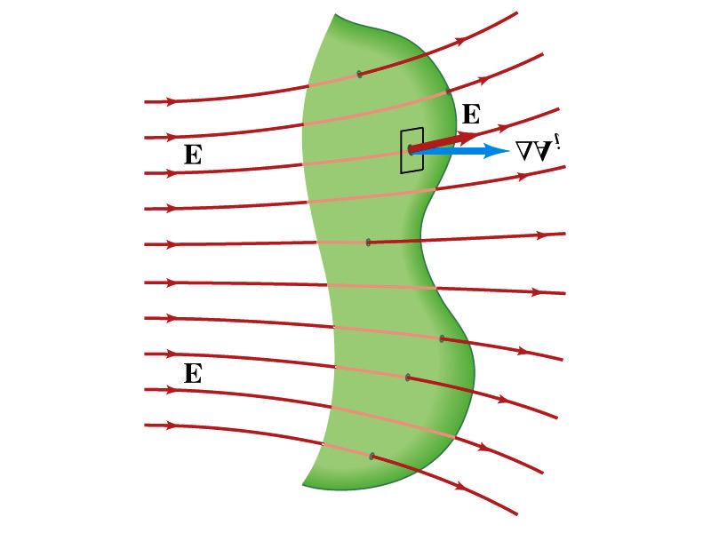Flusso di E attraverso una superficie Φ E n i1 E A i i Φ E?