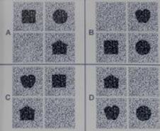 ITALIANO 2 Questo test è stato progettato per determinare rapidamente la presenza di ambliopia, strabismo e altri problemi di acuità binoculare mediante stereopsi (percezione della profondità) per