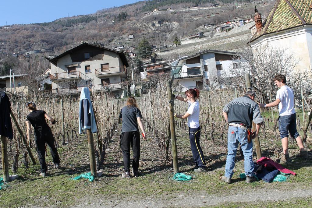 4 anno IeFP Per la prosecuzione degli studi sono attivati dei progetti individuali